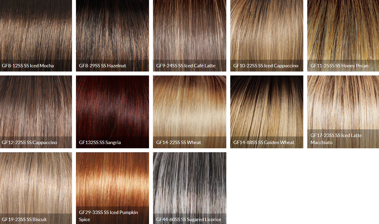 Best in Class Wig by Gabor