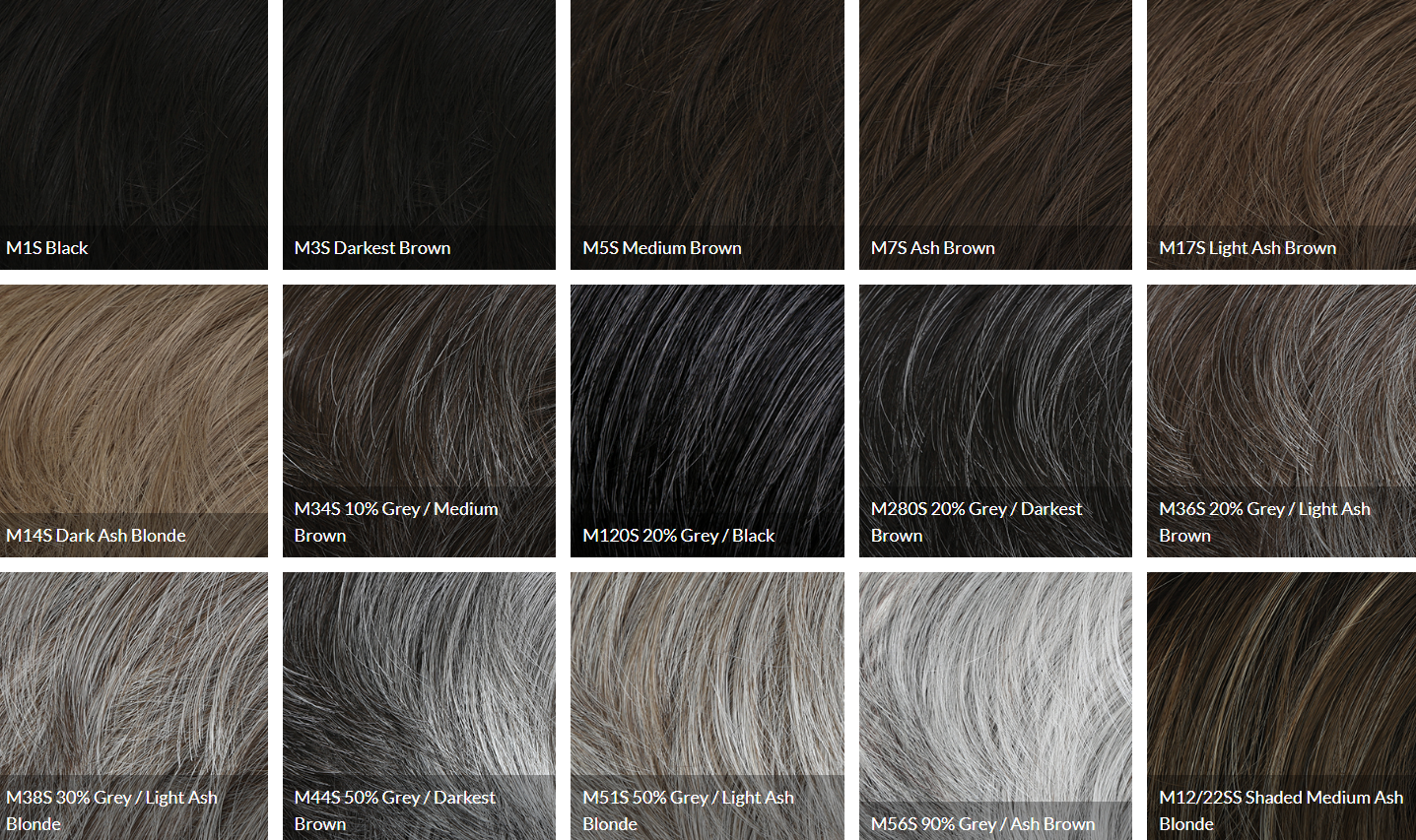 Dignified Wig by Him