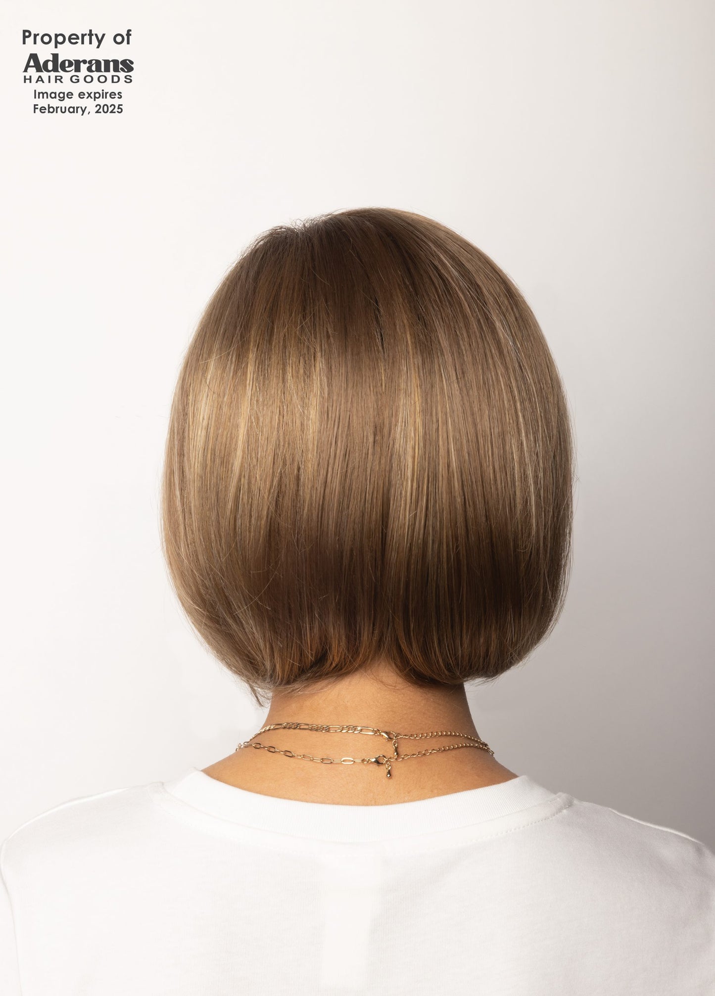 Carson Wig by Rene of Paris