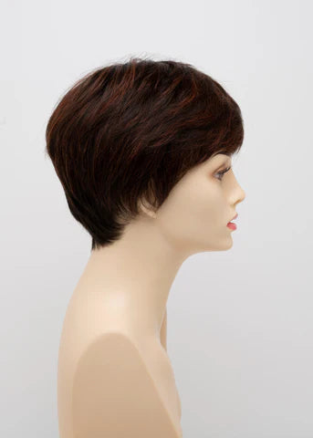 Destiny Human Hair/Synthetic Blend by Envy