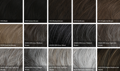 Dignified Wig by Him