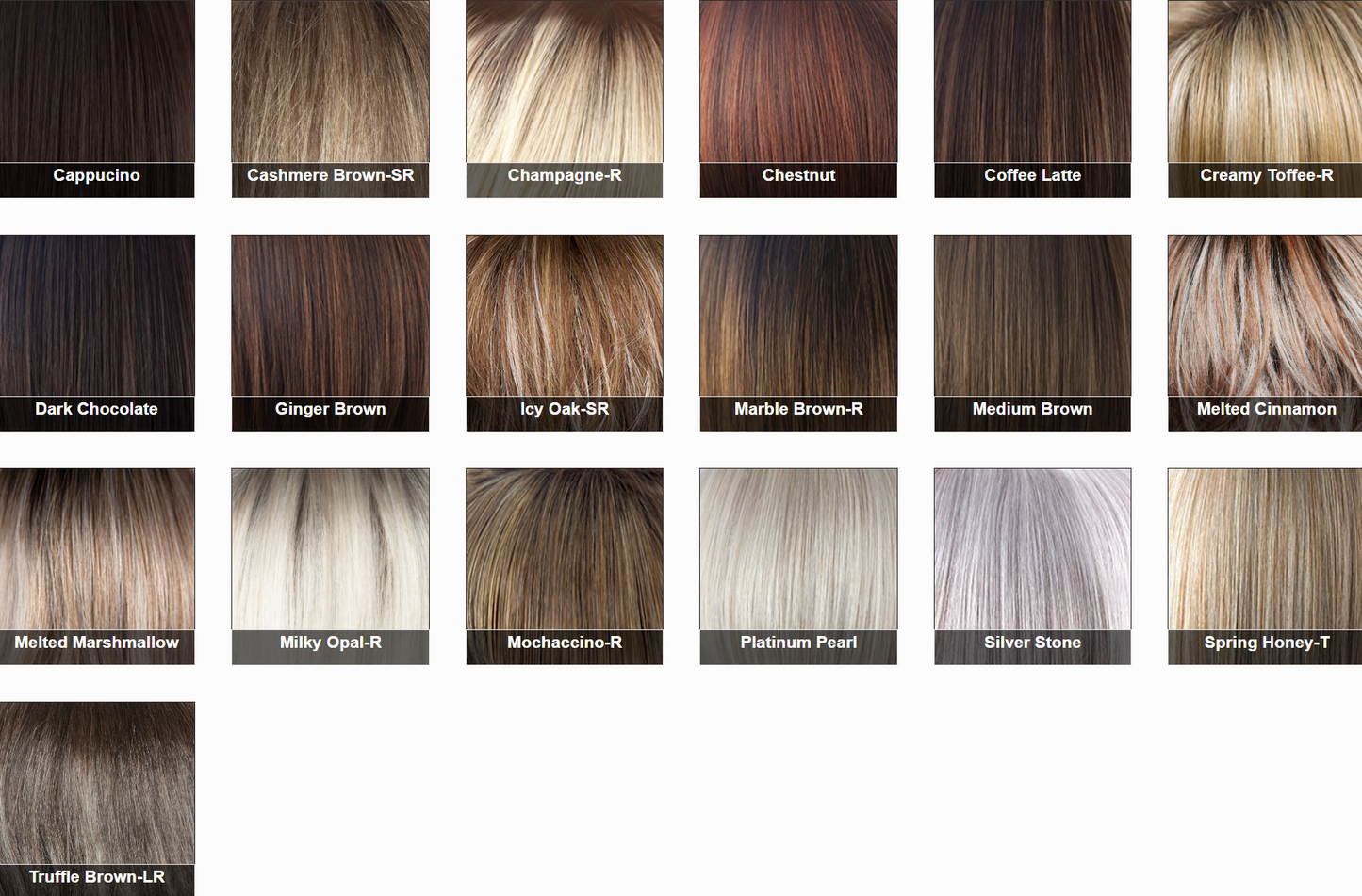 Lyndon Wig by Rene of Paris